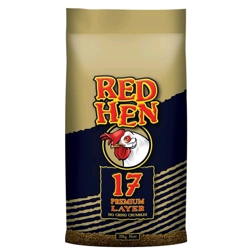 Lauke Red Hen 17